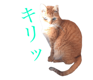834479294