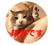834479300