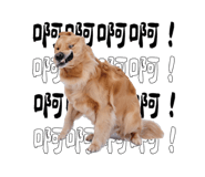 834490161