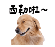 834490177