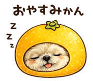 834490278