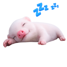 Smol pink piggy 1