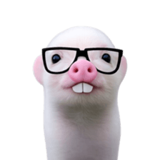 Smol pink piggy 2