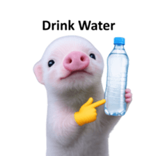 Smol pink piggy 3