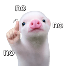 Smol pink piggy 8