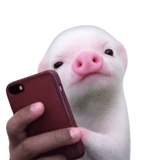 834490882