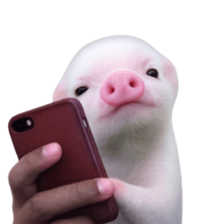 Smol pink piggy 10