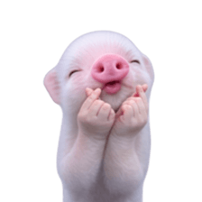 Smol pink piggy 12