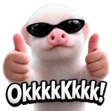 834490885