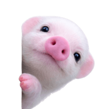Smol pink piggy 14