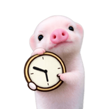 Smol pink piggy 15