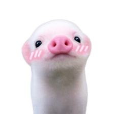 Smol pink piggy 16