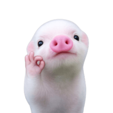 Smol pink piggy 17