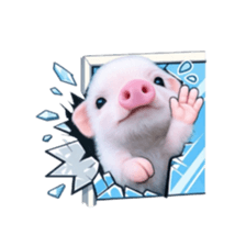 Smol pink piggy 19