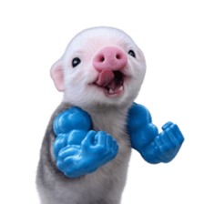 Smol pink piggy 21