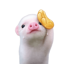 Smol pink piggy 22