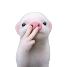 Smol pink piggy 23