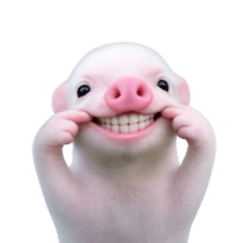 Smol pink piggy 25