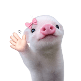 834490900