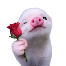 Smol pink piggy 30