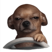 Grumpy Grin Doggo V.2 รูปที่ 1