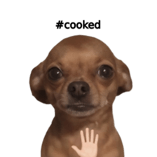 Grumpy Grin Doggo V.2 รูปที่ 3
