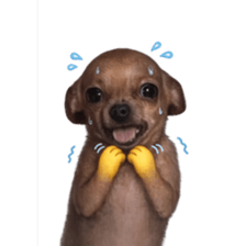 Grumpy Grin Doggo V.2 รูปที่ 4
