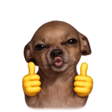 Grumpy Grin Doggo V.2 รูปที่ 5