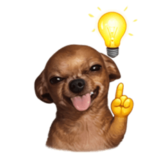 Grumpy Grin Doggo V.2 รูปที่ 10