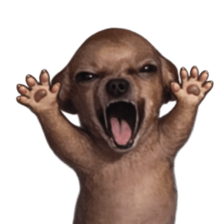 Grumpy Grin Doggo V.2 รูปที่ 16
