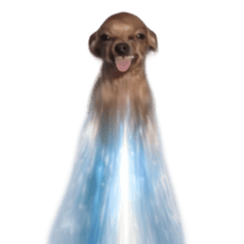 Grumpy Grin Doggo V.2 รูปที่ 18