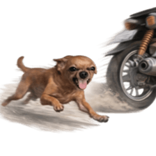 Grumpy Grin Doggo V.2 รูปที่ 20
