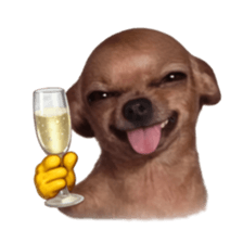 Grumpy Grin Doggo V.2 รูปที่ 26