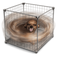 Grumpy Grin Doggo V.2 รูปที่ 27