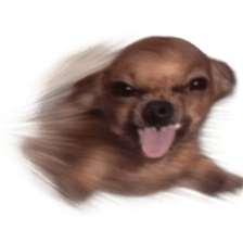 Grumpy Grin Doggo V.2 รูปที่ 30