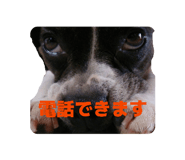 834491636