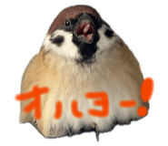834494239