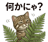 834504324