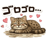 834504338