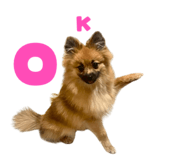 834508299