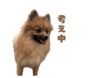834508302