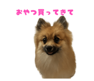 834508303
