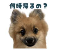 834508304