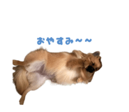 834508306