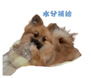 834508308