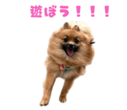 834508312