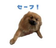 834508314
