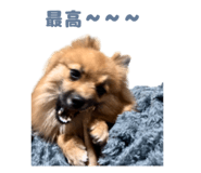 834508315