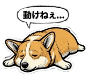 834511342