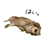 834526985